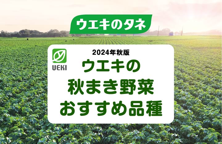 ウエキの秋まき野菜おすすめ品種