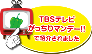 TBSテレビがっちりマンデー！！で紹介されました