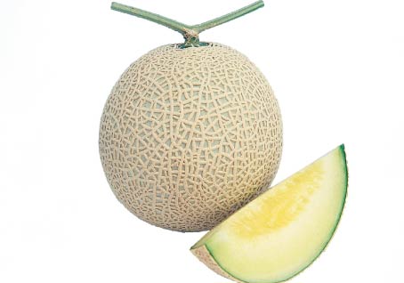 Earl's Type Japanese Melon photo