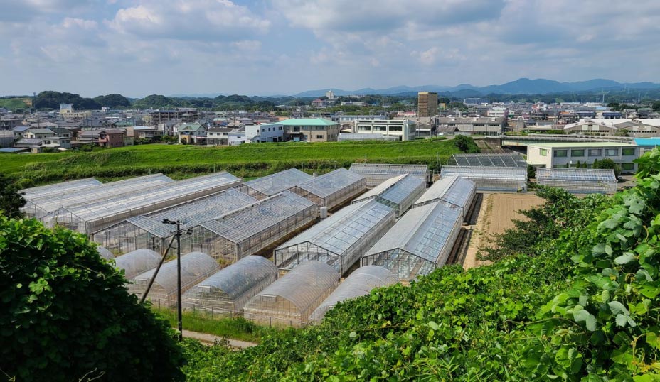 Kikugawa Research Farm