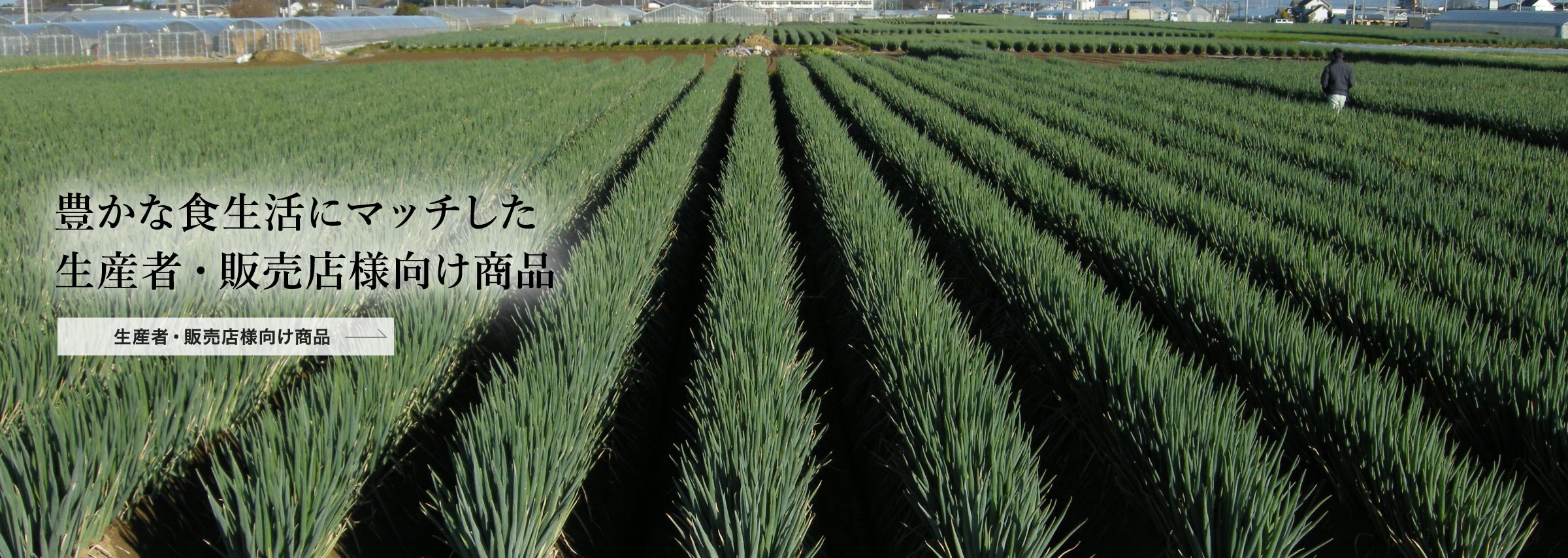 生産者・販売店様向け:商品豊かな食生活にマッチした生産者・販売店様向け商品