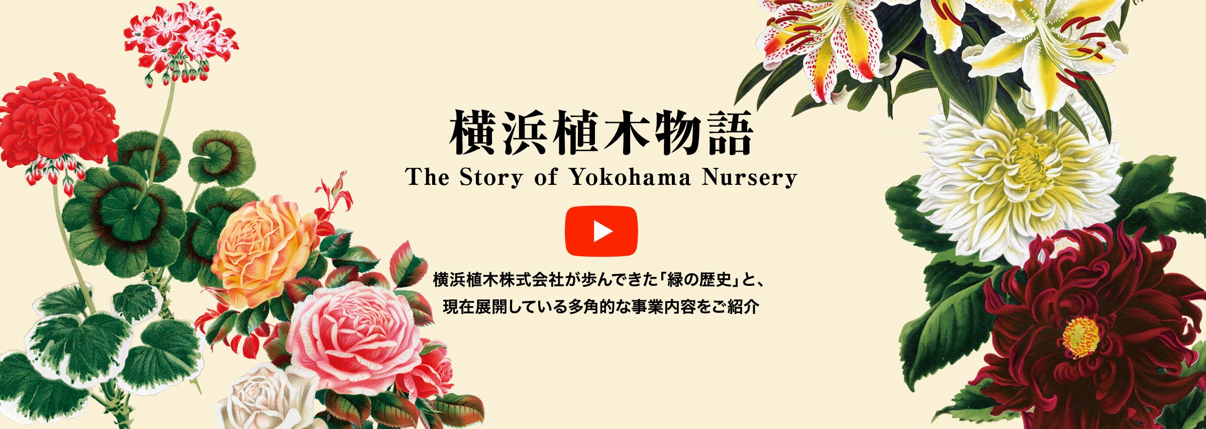 横浜植木物語横 浜植木株式会社が歩んできた「緑の歴史」と、現在展開している多角的な事業内容をご紹介