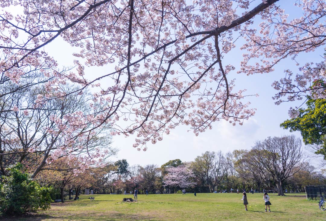 本牧山頂公園