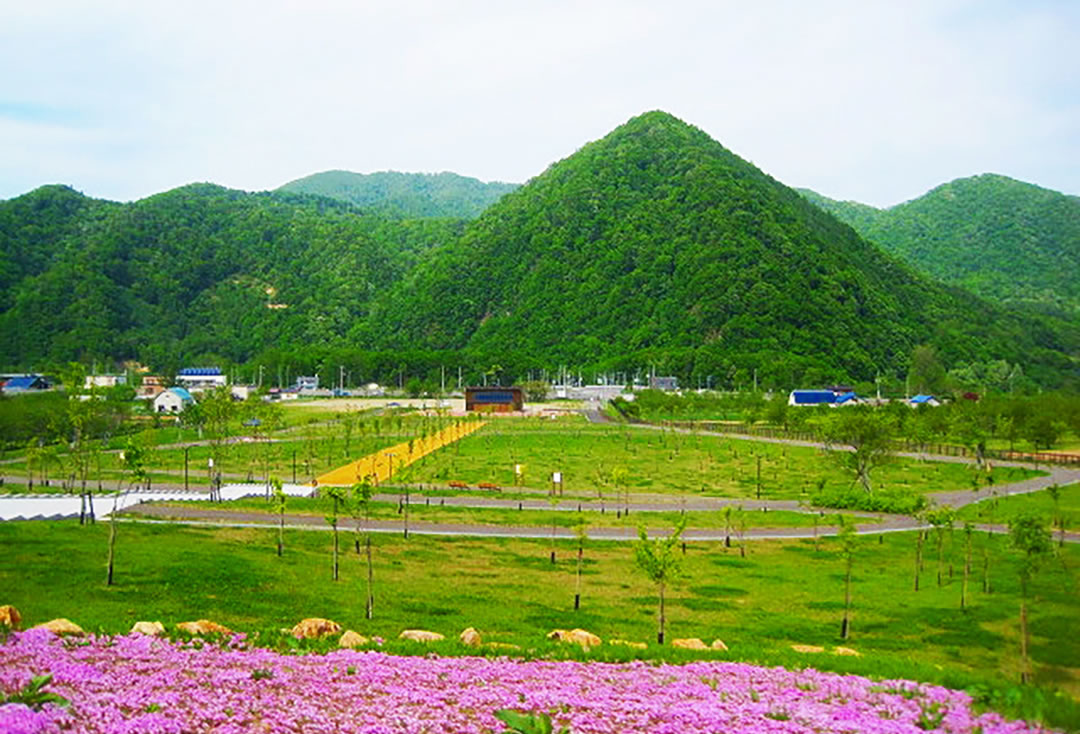 小金湯さくらの森