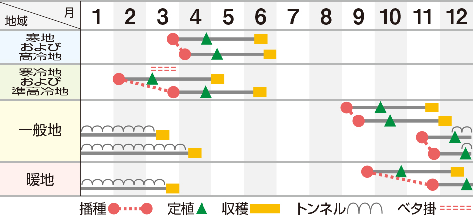 キュアレッド２号