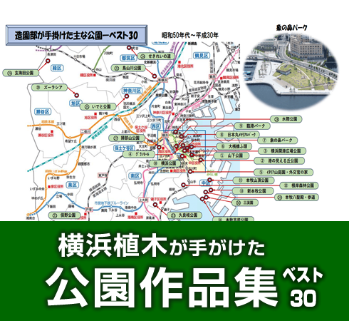 横浜植木が手掛けた公園作品集ベスト30